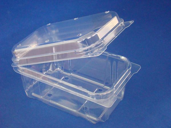 T3628 500gm Clamshell