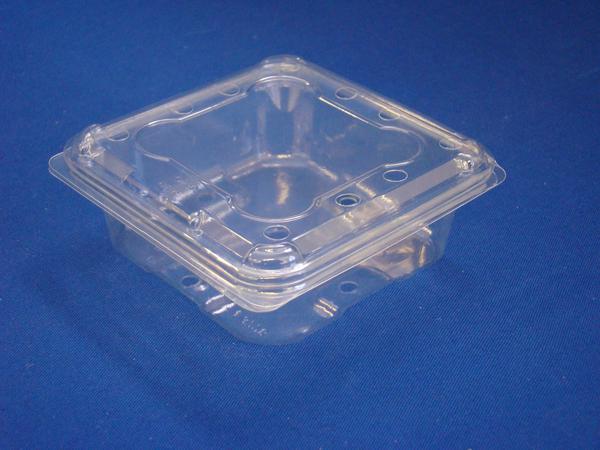 T3728 125gm Blueberry Punnet