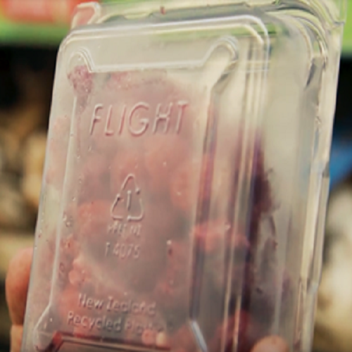 StrawberryPunnet